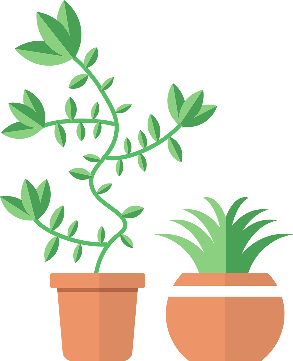 a cute plant